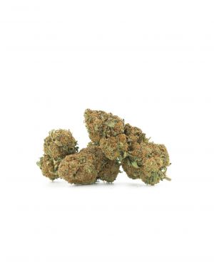 Great White Shark CBN 10%