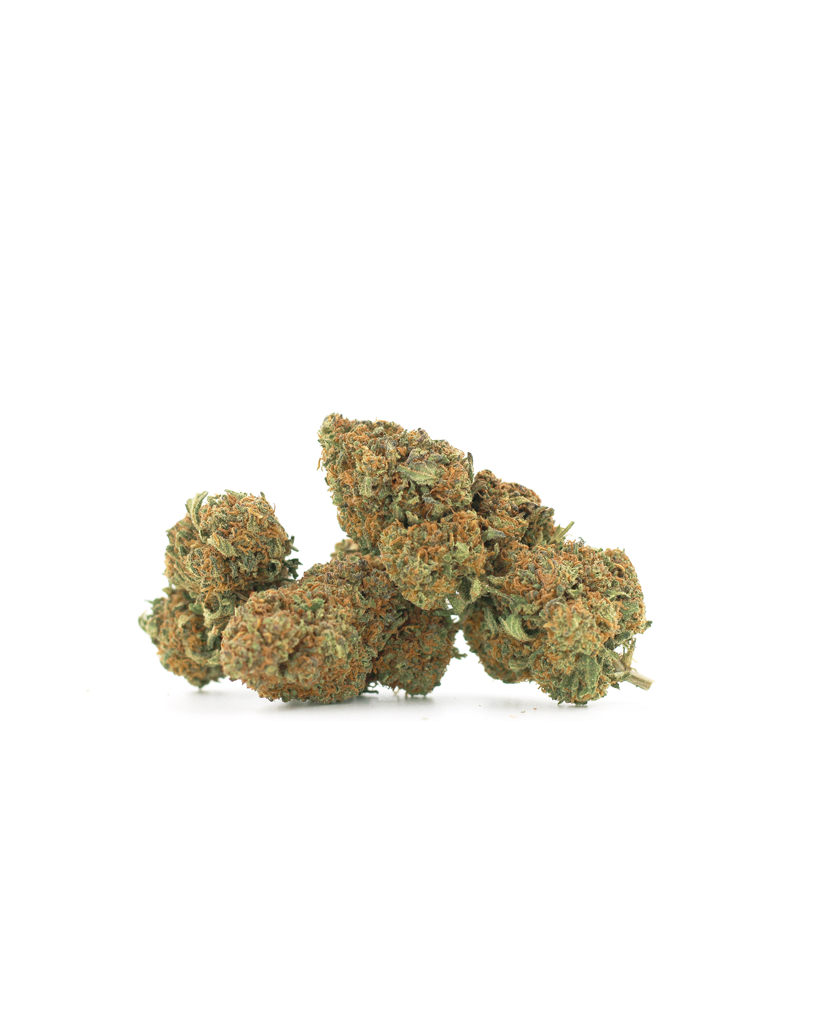 Great White Shark CBN 10%