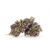 purple-haze-cbd.jpg