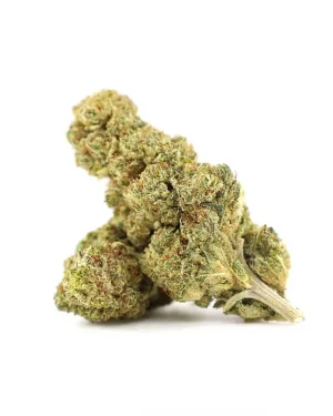 Blue Mango 10-OH+ 30%