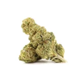 Blue Mango 10-OH