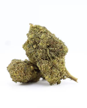 Weedy Wonka 10-OH+ 30%